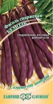 00025092_Фасоль Бемоль (Гавриш)_result