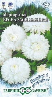 00008186_Маргаритка Весна заснеженная серия Устойч