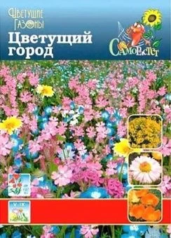 00006089_Газон цветущий Цветущий Город 30г (НК)