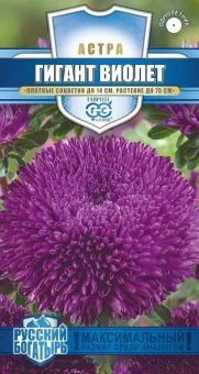 00024949_Астра Гигант Виолет 0,1г серия Русский бо