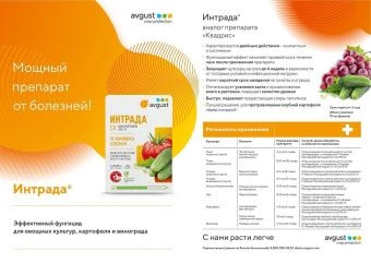 Интрада_2х (4)