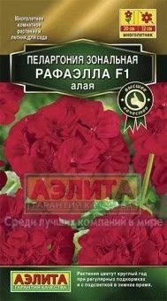 Пеларгония Рафаэлла алая (Аэлита)