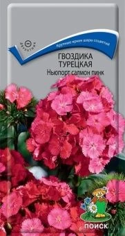 00038971_Гвоздика турецкая Ньюпорт салмон пинк 0,5
