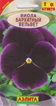 00012329_Виола Бархатный вельвет (Аэлита)