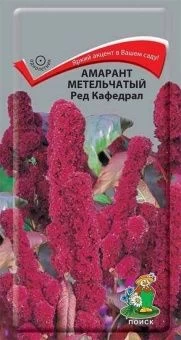 00041021_Амарант метельчатый Ред Кафедрал  0,1гр. 