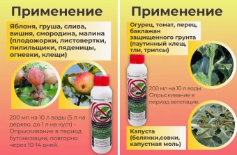 Бей вредителя биопрепарат 0,2л 138 (БИ)