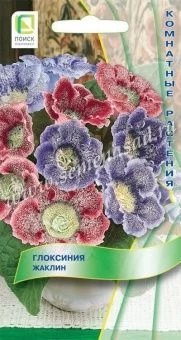 Глоксиния Жаклин 5шт (ПОИСК)