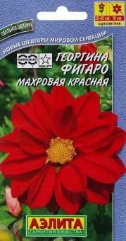 00022888_Георгина Фигаро махровая красная (Аэлита) 00022888_Георгина Фигаро махровая красная (Аэлита)