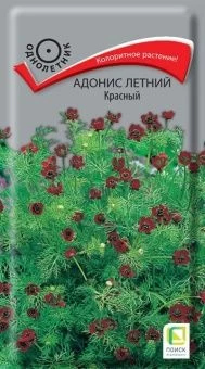 00036572_Адонис летний Красный 0,3гр (ПОИСК)