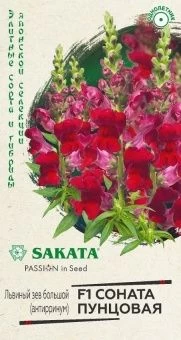 00040874_Львиный зев Соната пунцовая 10 шт Саката 