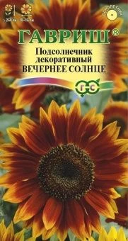 00014499_Подсолнечник Вечернее солнце (Гавриш)
