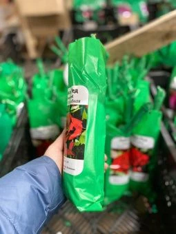 Пример упаковки