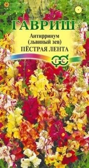 00029355_Львиный зев Пестрая лента 0,1 г (Гавриш)