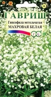00007791_Гипсофила Махровая белая (Гавриш) 11000