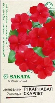 00020292_Бальзамин Уоллера Карнавал Скарлет (Гаври