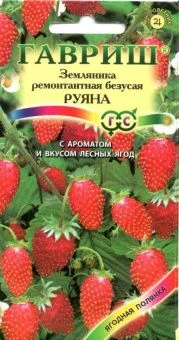 00011468_Земляника Руяна (Гавриш) 1_800