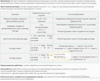КорнеСтим 4г 1200 (ВХ) (2)