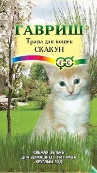 00008584_Трава для кошек Скакун  (Гавриш)