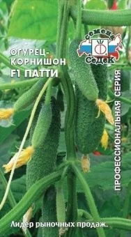 00011886_Огурец Патти (СеДек)