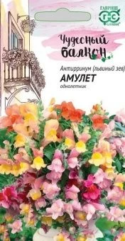 00001217_Львиный зев Амулет ампельный (Гавриш)