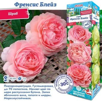 h38iz4s7evl40nb5v4p88xh6qbubt1ey