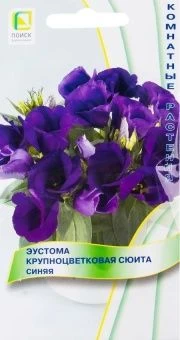 00041801_Эустома Сюита Синяя крупноцветковая 5шт (