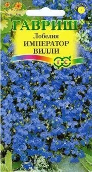 00011621_Лобелия Император Вилли (Гавриш) 1800
