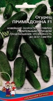 00023322_Огурец Примадонна дачника F1 (УД)