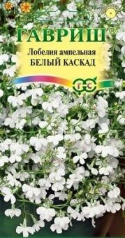 лобелия белый каскад.jpg