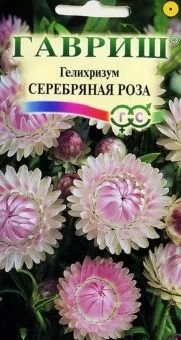 00007197_Гелихризум Серебряная роза (Гавриш) 11000
