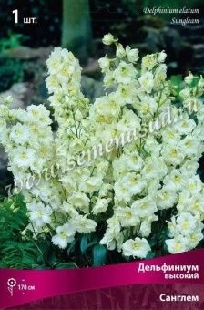 00037881_Дельфиниум высокий Санглем (ПОИСК)