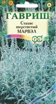 00012572_Стахис Марвэл (Гавриш) 1_1000