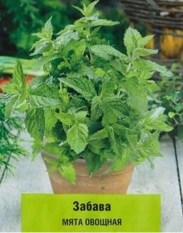 00030723_Мята Забава овощная 20шт (ПОИСК)