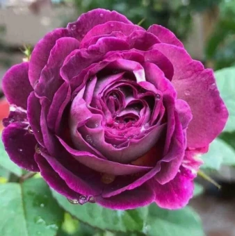 Снимок экрана 2025-10-13 165823