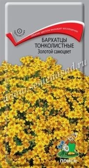 00039909_Бархатцы Золотой самоцвет тонколистные  0