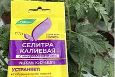Какими концентрациями удобрительных растворов можно опрыскивать растения и/или поливать их под корень?