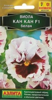 00002851_Виола Кан Кан белая (Аэлита)