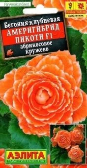 00029330_Бегония Америгибрид Пикоти абрикосовое кр