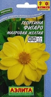 00022887_Георгина Фигаро махровая желтая (Аэлита) 00022887_Георгина Фигаро махровая желтая (Аэлита)