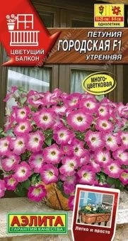 00040829_Петуния Городская F1 утренняя (Аэлита)