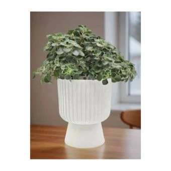 gorshok-cvetochnyj-beker-d17-belyj-28l