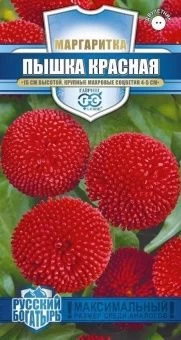 00026351_Маргаритка Пышка красная 5шт серия Русски