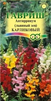 00007930_Львиный зев карликовый смесь (Гавриш) 1_1
