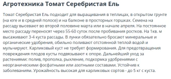 Томат Серебристая Ель (Усадьба)