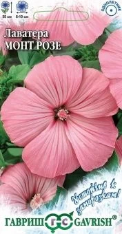 00010388_Лаватера Монт Розе (Гавриш) 1800