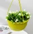Мальва кашпо подвесное 4,7л d25 h13 фисташковый 115 (Джетпласт) (2) Мальва кашпо подвесное 4,7л d25 h13 фисташковый 115 (Джетпласт) (2)