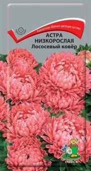 00030384_Астра Лососевый ковёр низкорослая 0,2г (П