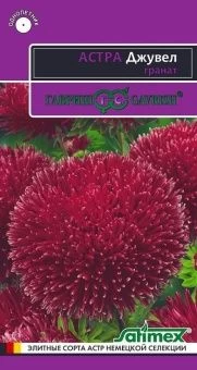 00011574_Астра Джувел Гранат (Гавриш) 11200