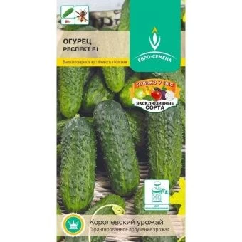 _РЕСПЕКТ F1~150-800x800