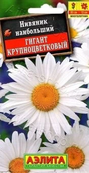 00023013_Нивяник Гигант крупноцветковый (Аэлита)